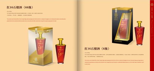 五糧液紅酒品牌策劃與營銷推廣方案 借勢名酒基因，開拓品質紅酒新藍海