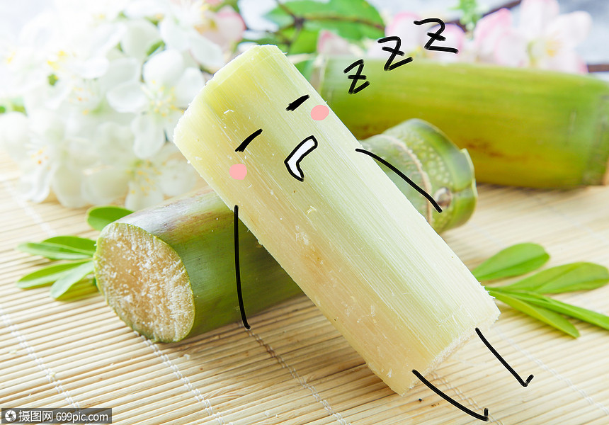 甘蔗躺葉子 可愛(ài)高清圖片素材欣賞