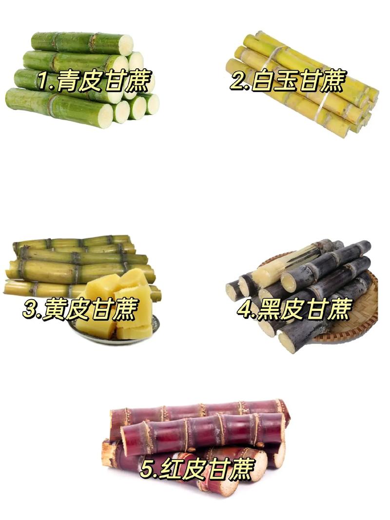 你吃過(guò)幾種甘蔗？除了紫皮和青皮，還有這些“甜蜜擔(dān)當(dāng)”等你發(fā)現(xiàn)！