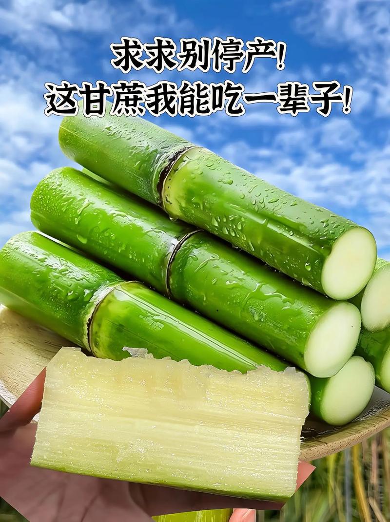 我宣布 以后只吃陶山脆皮甘蔗！